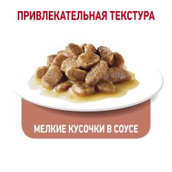 Royal Canin Light Weight Care в соусе (для кошек, склонных к полноте) 85г х 12 шт