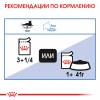 Royal Canin Light Weight Care в соусе (для кошек, склонных к полноте) 85г х 12 шт Royal Canin Light Weight Care в соусе (для кошек, склонных к полноте) 85г х 12 шт