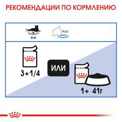 Royal Canin Light Weight Care в соусе (для кошек, склонных к полноте) 85г х 12 шт Royal Canin Light Weight Care в соусе (для кошек, склонных к полноте) 85г х 12 шт