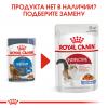 Royal Canin Light Weight Care в желе (для кошек, склонных к полноте) 85г х 12 шт