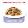 Royal Canin Light Weight Care в желе (для кошек, склонных к полноте) 85г х 12 шт