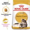 Royal Canin Maine Coon Adult (для кошек породы мейн-кун старше 15 месяцев)