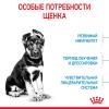 Royal Canin Maxi Puppy (для щенков крупных пород с 2 до 15 месяцев) Royal Canin Maxi Puppy (для щенков крупных пород с 2 до 15 месяцев)