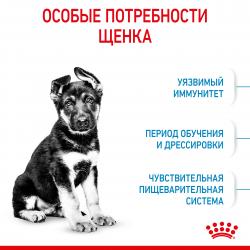 Royal Canin Maxi Puppy (для щенков крупных пород с 2 до 15 месяцев) Royal Canin Maxi Puppy (для щенков крупных пород с 2 до 15 месяцев)