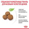 Royal Canin Maxi Puppy (для щенков крупных пород с 2 до 15 месяцев) Royal Canin Maxi Puppy (для щенков крупных пород с 2 до 15 месяцев)