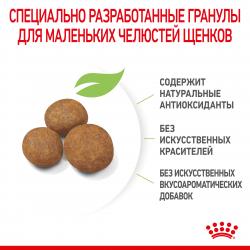 Royal Canin Maxi Puppy (для щенков крупных пород с 2 до 15 месяцев) Royal Canin Maxi Puppy (для щенков крупных пород с 2 до 15 месяцев)