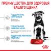 Royal Canin Maxi Puppy (для щенков крупных пород с 2 до 15 месяцев) Royal Canin Maxi Puppy (для щенков крупных пород с 2 до 15 месяцев)