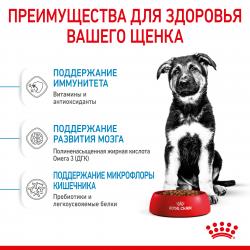 Royal Canin Maxi Puppy (для щенков крупных пород с 2 до 15 месяцев) Royal Canin Maxi Puppy (для щенков крупных пород с 2 до 15 месяцев)