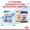 Royal Canin Maxi Puppy (для щенков крупных пород с 2 до 15 месяцев) Royal Canin Maxi Puppy (для щенков крупных пород с 2 до 15 месяцев)