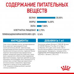 Royal Canin Maxi Puppy (для щенков крупных пород с 2 до 15 месяцев) Royal Canin Maxi Puppy (для щенков крупных пород с 2 до 15 месяцев)