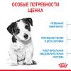 Royal Canin Mini Puppy  (для щенков мелких пород с 2 до 10 месяцев)  Royal Canin Mini Puppy  (для щенков мелких пород с 2 до 10 месяцев)