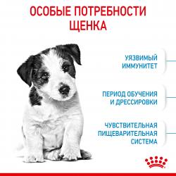 Royal Canin Mini Puppy  (для щенков мелких пород с 2 до 10 месяцев)  Royal Canin Mini Puppy  (для щенков мелких пород с 2 до 10 месяцев)