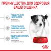 Royal Canin Mini Puppy  (для щенков мелких пород с 2 до 10 месяцев)  Royal Canin Mini Puppy  (для щенков мелких пород с 2 до 10 месяцев)