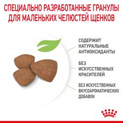 Royal Canin Mini Puppy  (для щенков мелких пород с 2 до 10 месяцев)  Royal Canin Mini Puppy  (для щенков мелких пород с 2 до 10 месяцев)