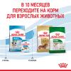 Royal Canin Mini Puppy  (для щенков мелких пород с 2 до 10 месяцев)  Royal Canin Mini Puppy  (для щенков мелких пород с 2 до 10 месяцев)