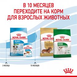 Royal Canin Mini Puppy  (для щенков мелких пород с 2 до 10 месяцев)  Royal Canin Mini Puppy  (для щенков мелких пород с 2 до 10 месяцев)