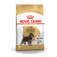 Royal Canin Miniature Schnauzer (для  взрослых собак породы миниатюрный шнауцер) Royal Canin Miniature Schnauzer (для  взрослых собак породы миниатюрный шнауцер)