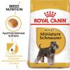 Royal Canin Miniature Schnauzer (для  взрослых собак породы миниатюрный шнауцер)