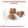 Royal Canin Sensible 33 (для взрослых кошек с чувствительной пищеварительной системой) Royal Canin Sensible 33 (для взрослых кошек с чувствительной пищеварительной системой)
