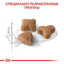 Royal Canin Sensible 33 (для взрослых кошек с чувствительной пищеварительной системой) Royal Canin Sensible 33 (для взрослых кошек с чувствительной пищеварительной системой)