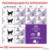 Royal Canin Sensible 33 (для взрослых кошек с чувствительной пищеварительной системой) Royal Canin Sensible 33 (для взрослых кошек с чувствительной пищеварительной системой)