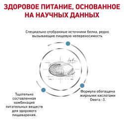 Royal Canin Sensitivity Control (для кошек при пищевой аллергии/непереносимости) Royal Canin Sensitivity Control (для кошек при пищевой аллергии/непереносимости)