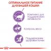 Royal Canin Sterilised 7+ (для стерилизованных кошек старше 7 лет) Royal Canin Sterilised 7+ (для стерилизованных кошек старше 7 лет)