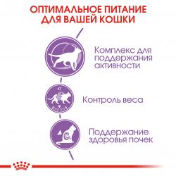 Royal Canin Sterilised 7+ (для стерилизованных кошек старше 7 лет) Royal Canin Sterilised 7+ (для стерилизованных кошек старше 7 лет)