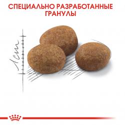 Royal Canin Sterilised 7+ (для стерилизованных кошек старше 7 лет)