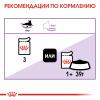 Royal Canin Sterilised 85г х 28шт (в соусе для стерилизованных кошек) Royal Canin Sterilised 85г х 28шт (в соусе для стерилизованных кошек)