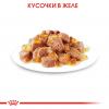 Royal Canin Sterilised 85г х 24шт (желе для стерилизованных кошек)