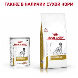 Royal Canin Urinary (паштет для собак при заболеваниях дистального отдела мочевыделительной системы)