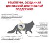 Royal Canin Urinary S/O Moderate Calorie (для кошек c мочекаменной болезнью)