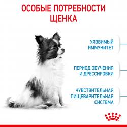 Royal Canin X-Small Puppy (для щенков миниатюрных пород от 2 до 10 месяцев) Royal Canin X-Small Puppy (для щенков миниатюрных пород от 2 до 10 месяцев)