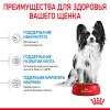 Royal Canin X-Small Puppy (для щенков миниатюрных пород от 2 до 10 месяцев) Royal Canin X-Small Puppy (для щенков миниатюрных пород от 2 до 10 месяцев)