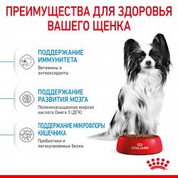 Royal Canin X-Small Puppy (для щенков миниатюрных пород от 2 до 10 месяцев) Royal Canin X-Small Puppy (для щенков миниатюрных пород от 2 до 10 месяцев)