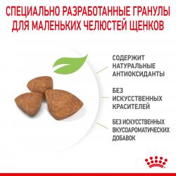 Royal Canin X-Small Puppy (для щенков миниатюрных пород от 2 до 10 месяцев) Royal Canin X-Small Puppy (для щенков миниатюрных пород от 2 до 10 месяцев)