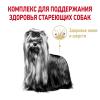 Royal Canin Yorkshire Terrier Ageing 8+ (для стареющих собак породы Йоркширский Терьер от 8 лет) Royal Canin Yorkshire Terrier Ageing 8+ (для стареющих собак породы Йоркширский Терьер от 8 лет)