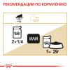 Royal Canin Adult Persian (паштет для персидских котов), 85 гр x 12шт  Royal Canin Adult Persian (паштет для персидских котов), 85 гр x 12шт