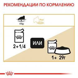 Royal Canin Adult Persian (паштет для персидских котов), 85 гр x 12шт  Royal Canin Adult Persian (паштет для персидских котов), 85 гр x 12шт