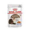 Royal Canin Ageing 12+ 85гр x 12шт   (желе для кошек старше 12 лет) Royal Canin Ageing 12+ 85гр x 12шт   (желе для кошек старше 12 лет)
