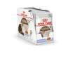 Royal Canin Ageing 12+ 85гр x 12шт   (желе для кошек старше 12 лет)