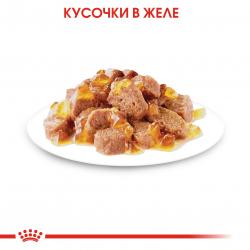 Royal Canin Ageing 12+ 85гр x 12шт   (желе для кошек старше 12 лет) Royal Canin Ageing 12+ 85гр x 12шт   (желе для кошек старше 12 лет)