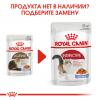 Royal Canin Ageing 12+ 85гр x 12шт   (желе для кошек старше 12 лет)
