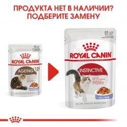 Royal Canin Ageing 12+ 85гр x 12шт   (желе для кошек старше 12 лет)