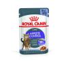Royal Canin Appetite Control 85г х 12шт (желе для контроля выпрашивания корма) Royal Canin Appetite Control 85г х 12шт (желе для контроля выпрашивания корма)