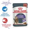 Royal Canin Appetite Control 85г х 12шт (соус для контроля выпрашивания корма)