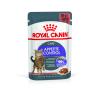 Royal Canin Appetite Control 85г х 12шт (соус для контроля выпрашивания корма)