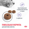Royal Canin Appetite Control (сухой корм для контроля выпрашивания корма) Royal Canin Appetite Control (сухой корм для контроля выпрашивания корма)