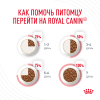 Royal Canin Appetite Control (сухой корм для контроля выпрашивания корма) Royal Canin Appetite Control (сухой корм для контроля выпрашивания корма)